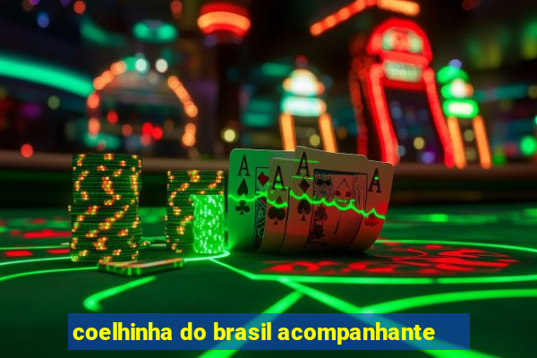 coelhinha do brasil acompanhante